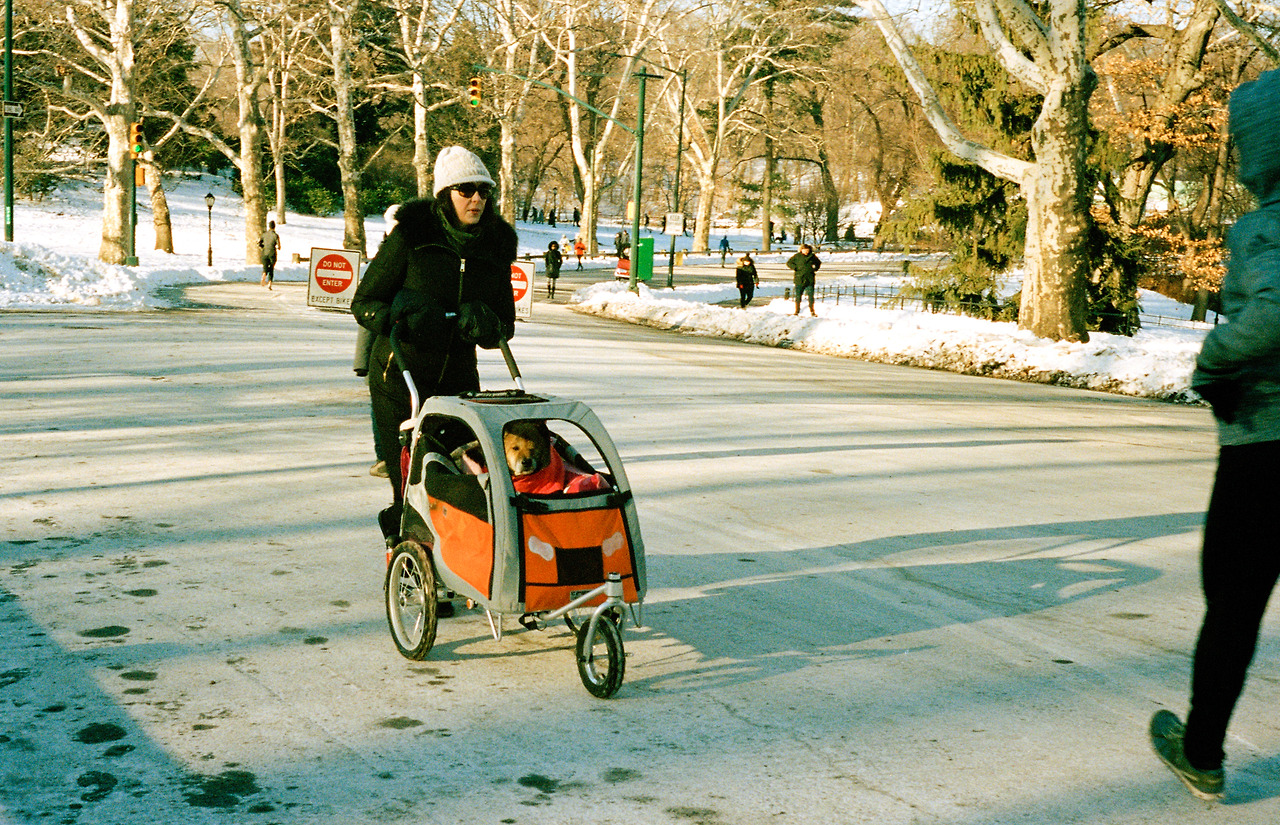 20180304-센트럴 파크2.jpg