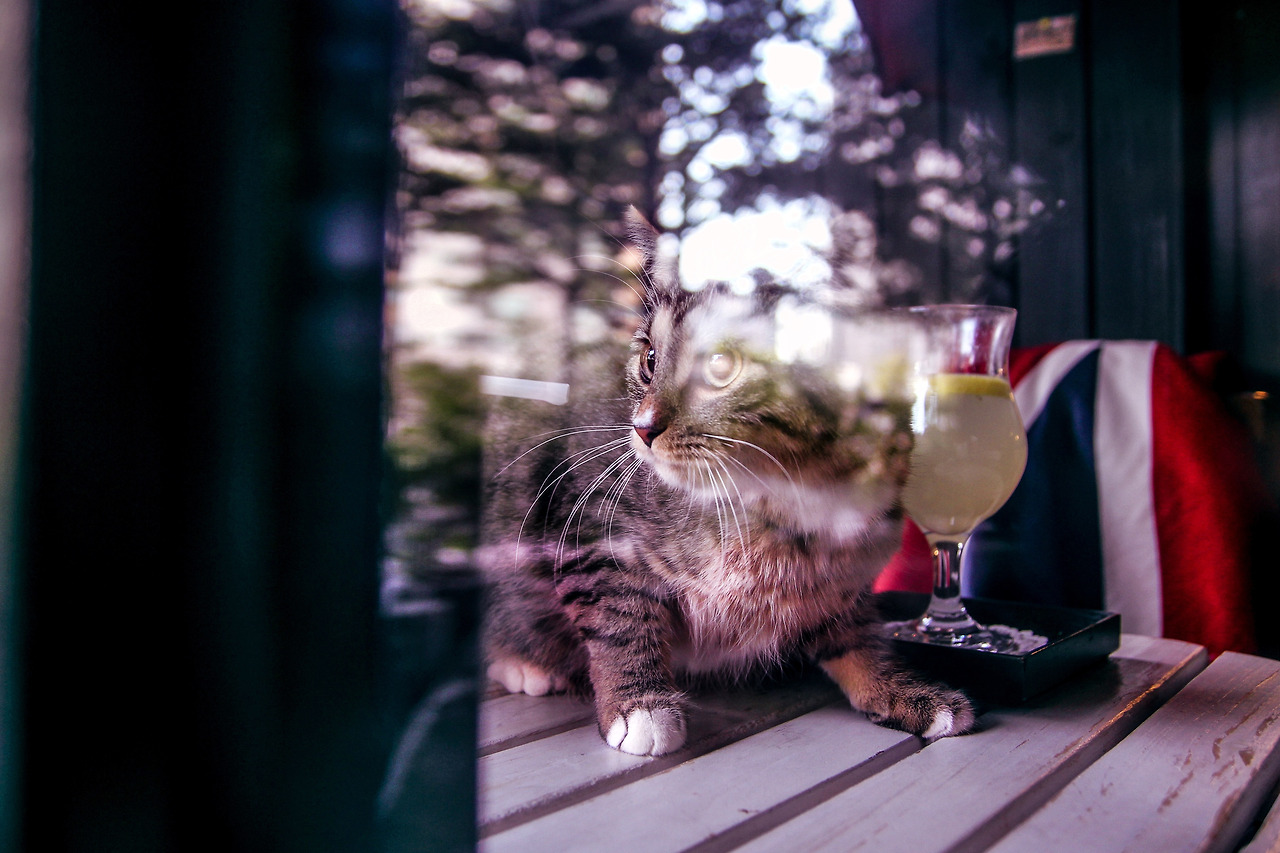 4월24일 (7).jpg