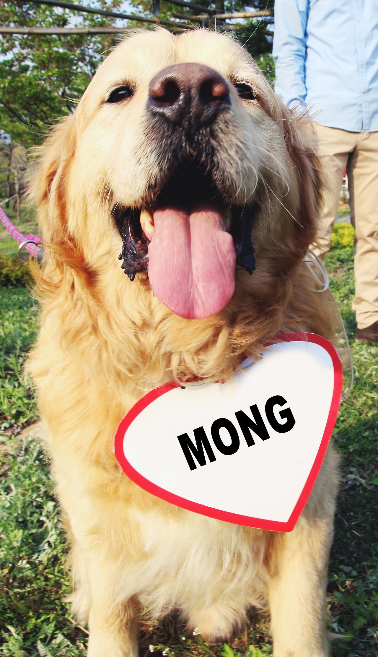 IMG_8108 사본.jpg