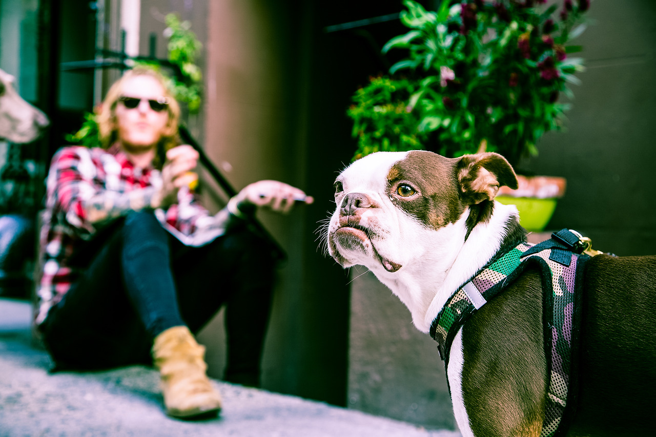 모리_매거진 사진2.jpg