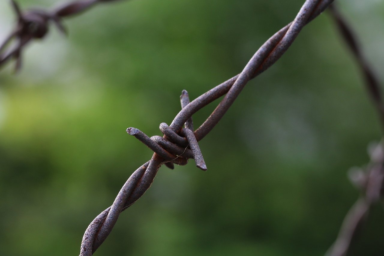 barbed-wire-3415775_1920.jpg