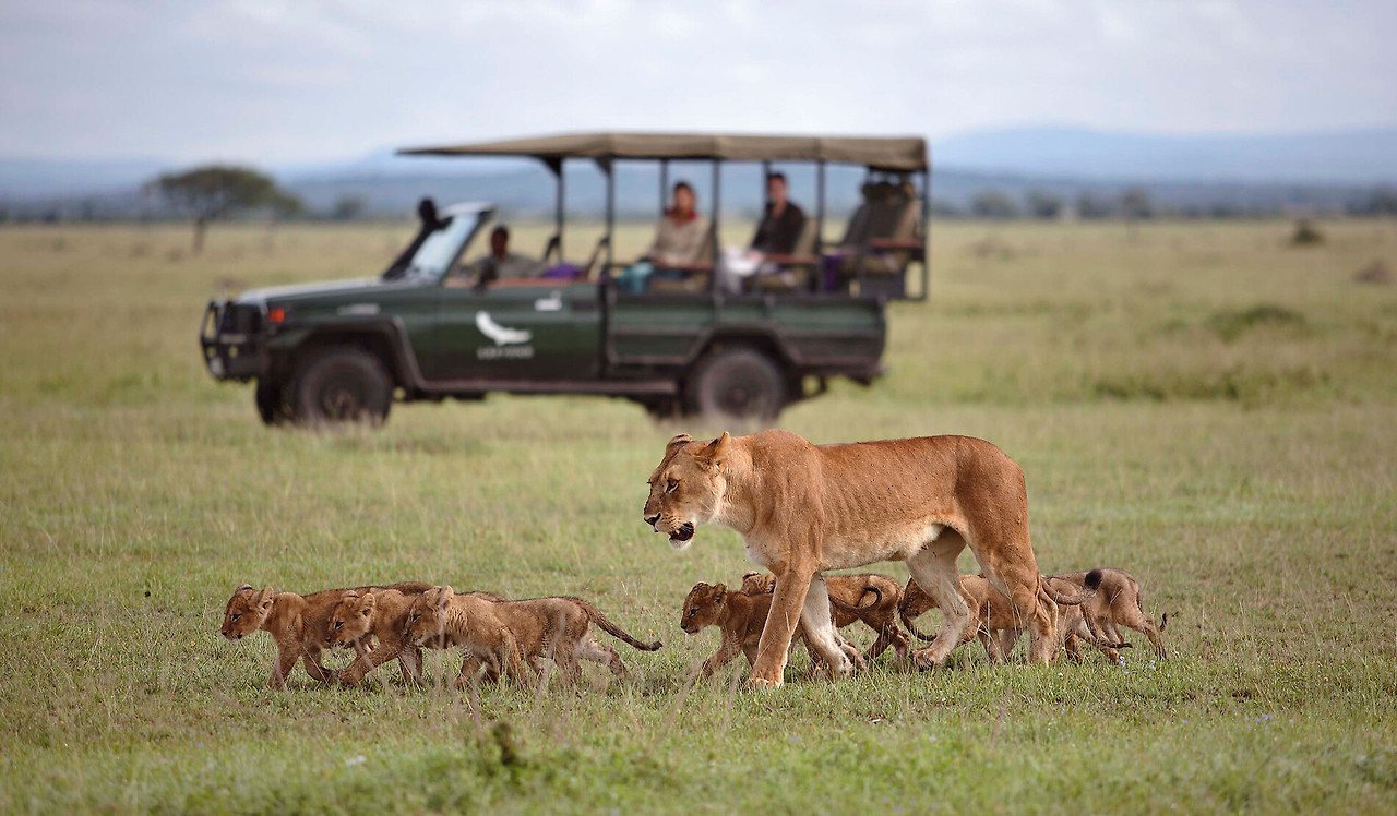 andbeyond-grumeti-serengeti-tented-camp-wildlife-lions-01.e8eb22cb.jpg