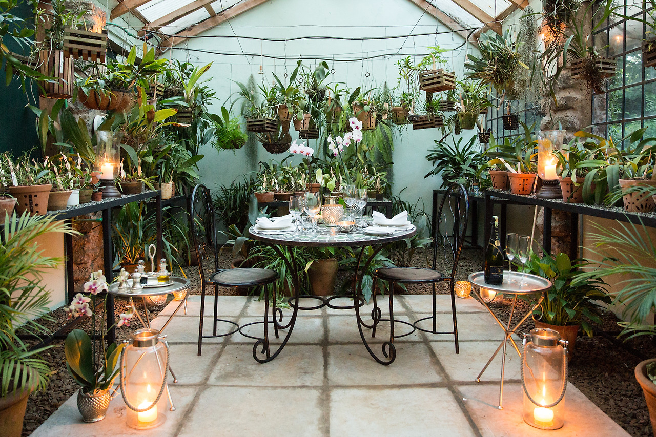 Dinner in the Orchid House.jpg