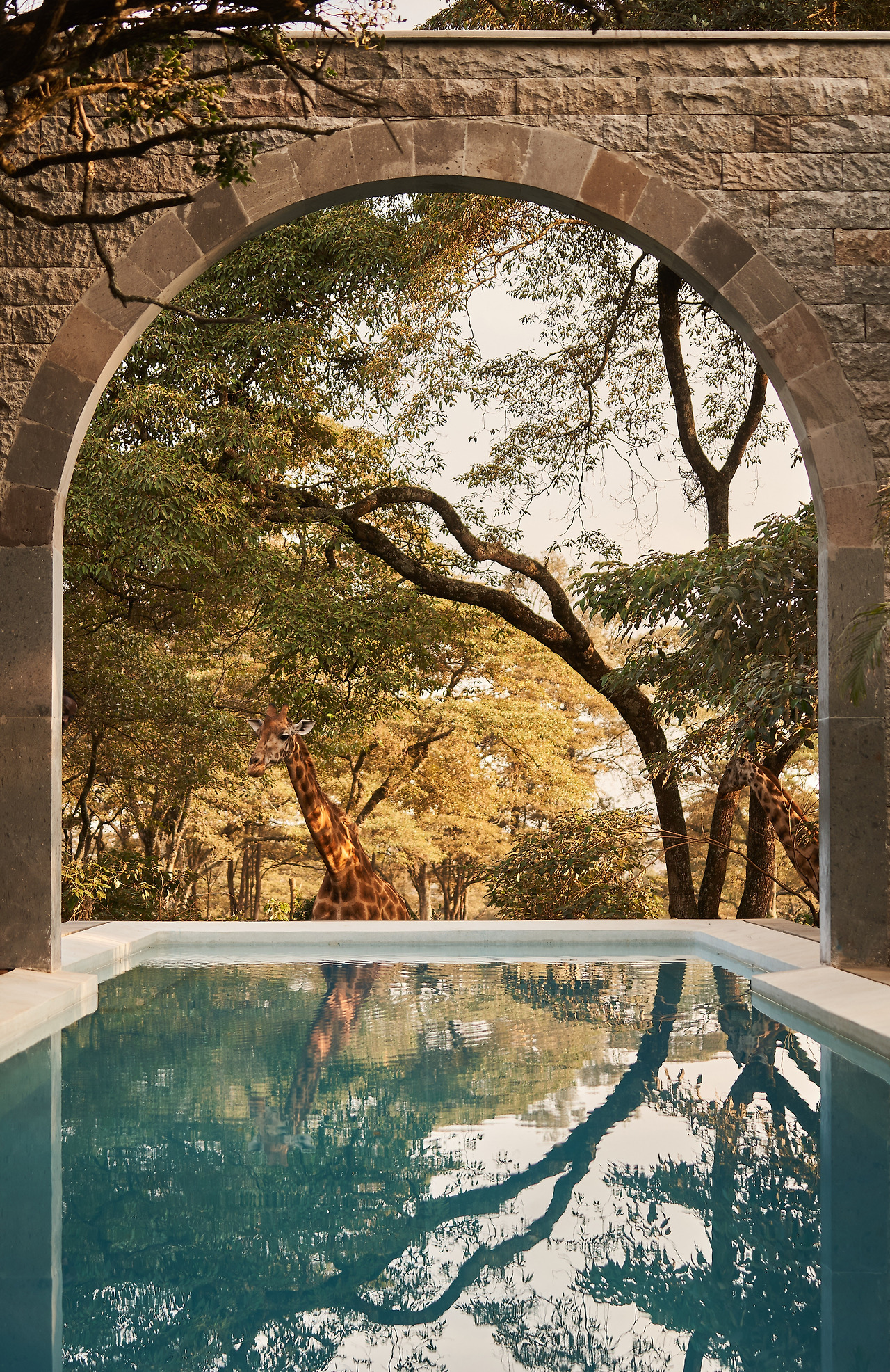 Giraffe Retreat - Photographed by Brian Siambi 7.jpg