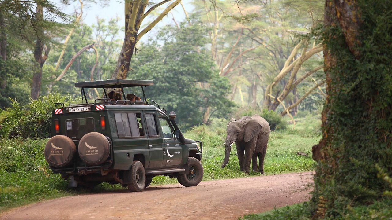 Game-Drive-in-the-Ngorongoro-Crater-andBeyond-Experience.jpg