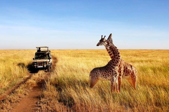 5-Days-Best-of-Tanzania-and-Kenya-safari.jpg