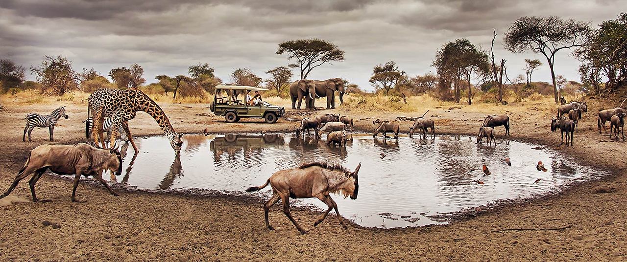 A347-1600x670-little-chemchem-waterhole-game-drive-3.jpg