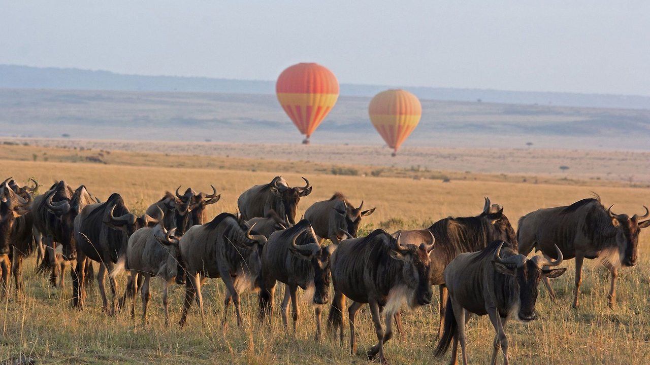 Serengeti-Balloon-Safari-andBeyond-Experience.jpg