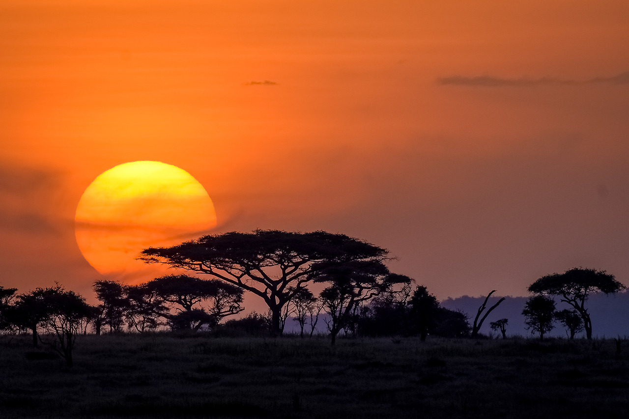 Serengeti_sunset-1001.jpg