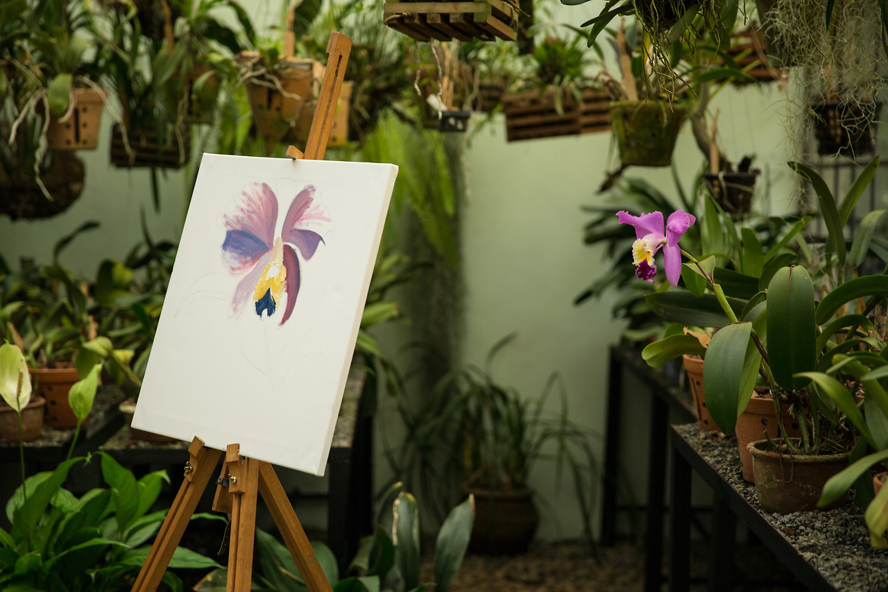 Orchid House Paintings.jpg
