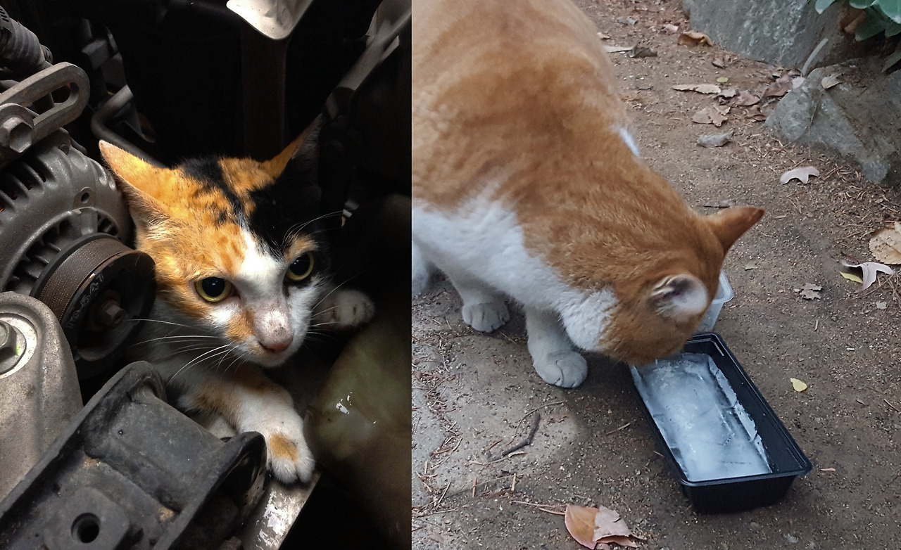 GettyImages-479046407_1 copy.jpg