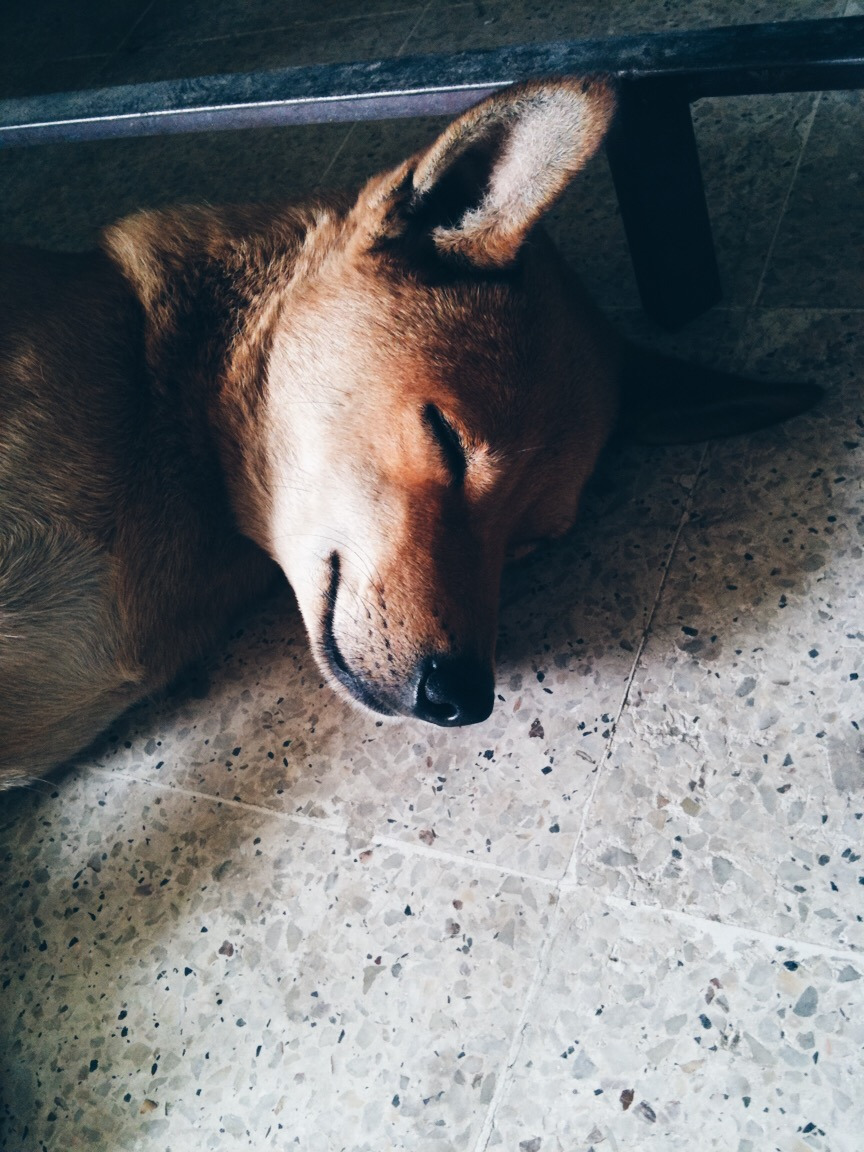 사진 2011. 8. 2. 오전 11 19 49.jpg