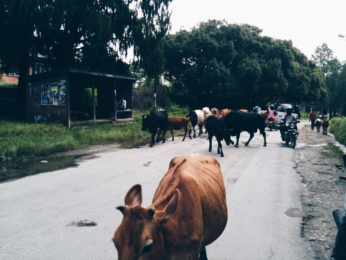 사진 2011. 8. 24. 오전 10 34 04.jpg