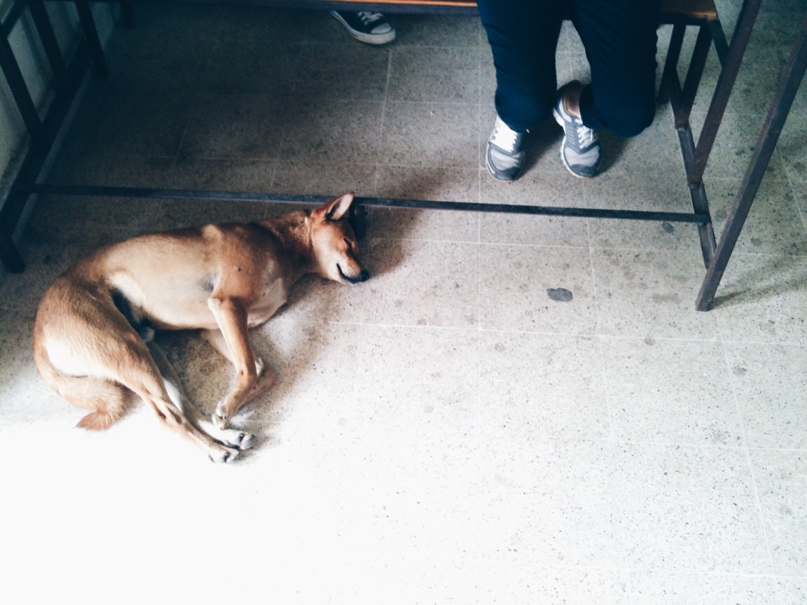 사진 2011. 8. 2. 오전 11 18 46.jpg