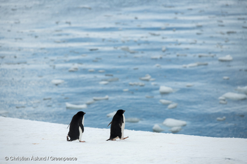 3 GP0STRJ02_Web_size_with_credit_line.jpg