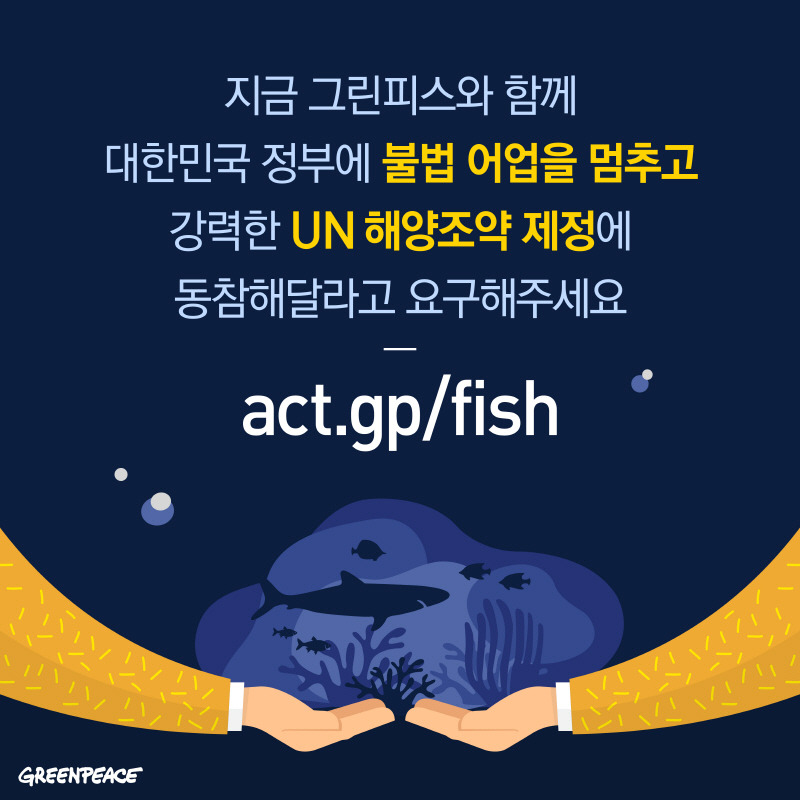 19.10.29_cardnews_illegal fishery_design-10_resized.jpg