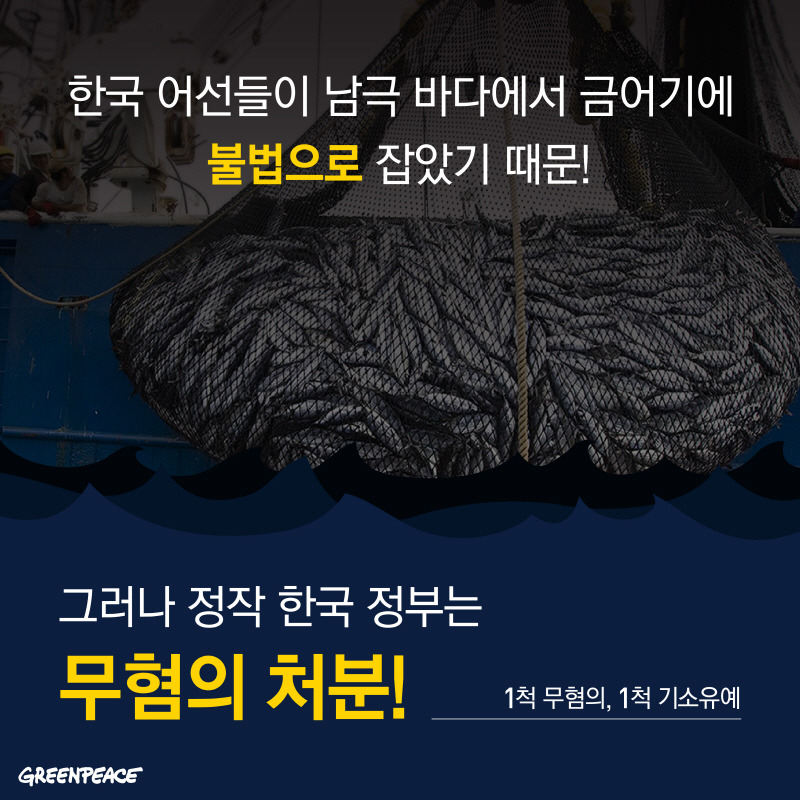 19.10.29_cardnews_illegal fishery_design-04_resized.jpg