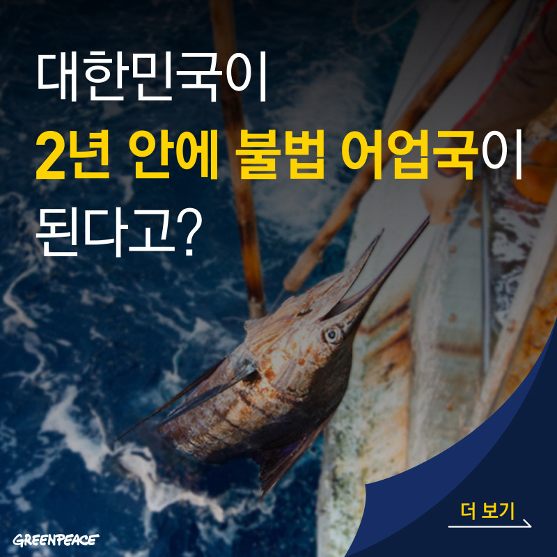 19.10.29_cardnews_illegal fishery_design-01_resized.jpg