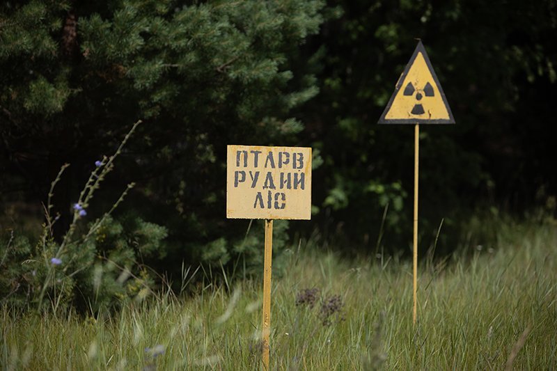 983f118b-greenpeace-at-chernobyl-exclsion-zone_2022071689.jpg