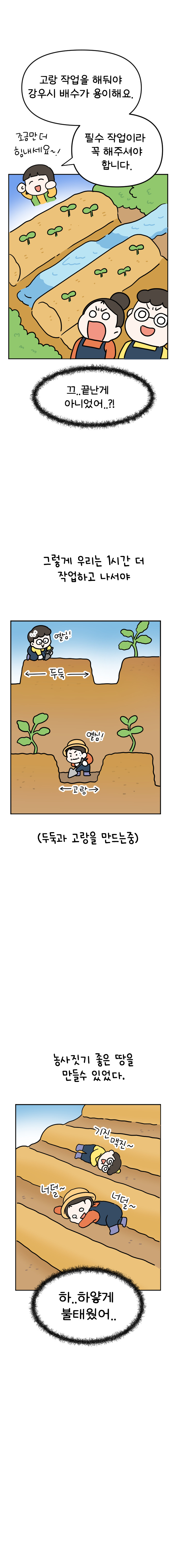 11화 텃밭일기 (1편)_006.jpg
