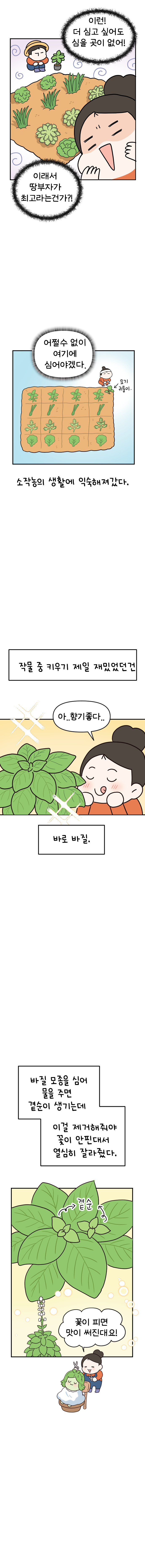 12화 텃밭일기_005.jpg