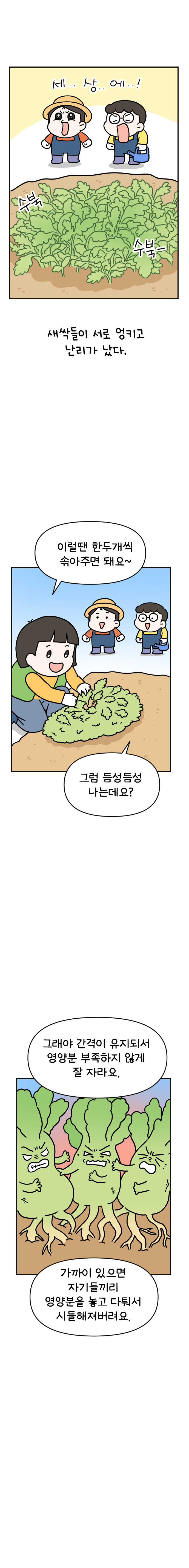 11화 텃밭일기 (1편)_008.jpg