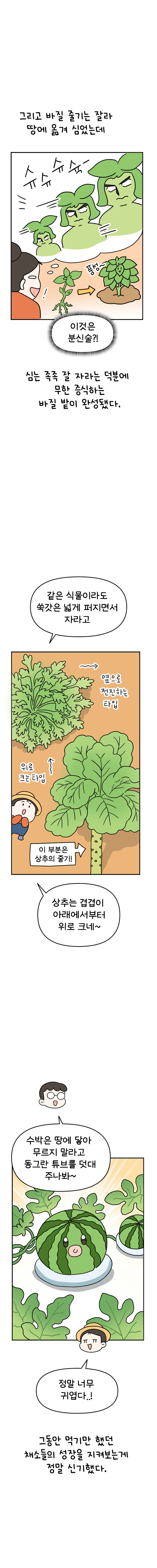 12화 텃밭일기_006.jpg