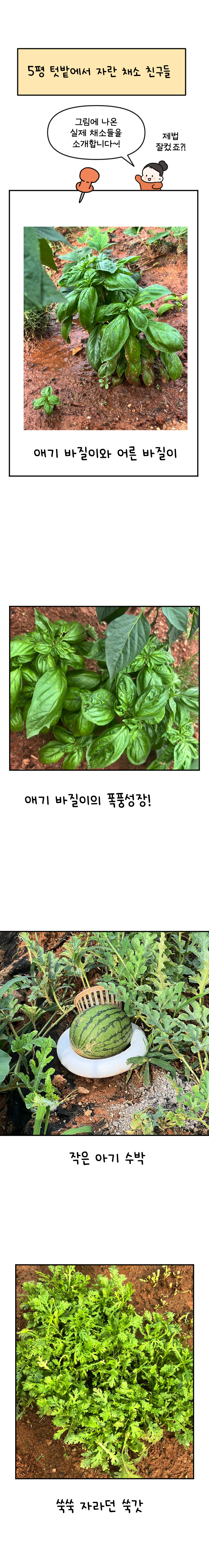 12화 텃밭일기_011.jpg