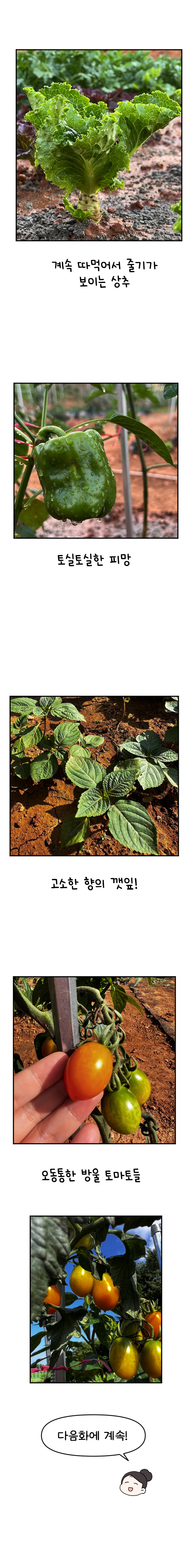 12화 텃밭일기_012.jpg