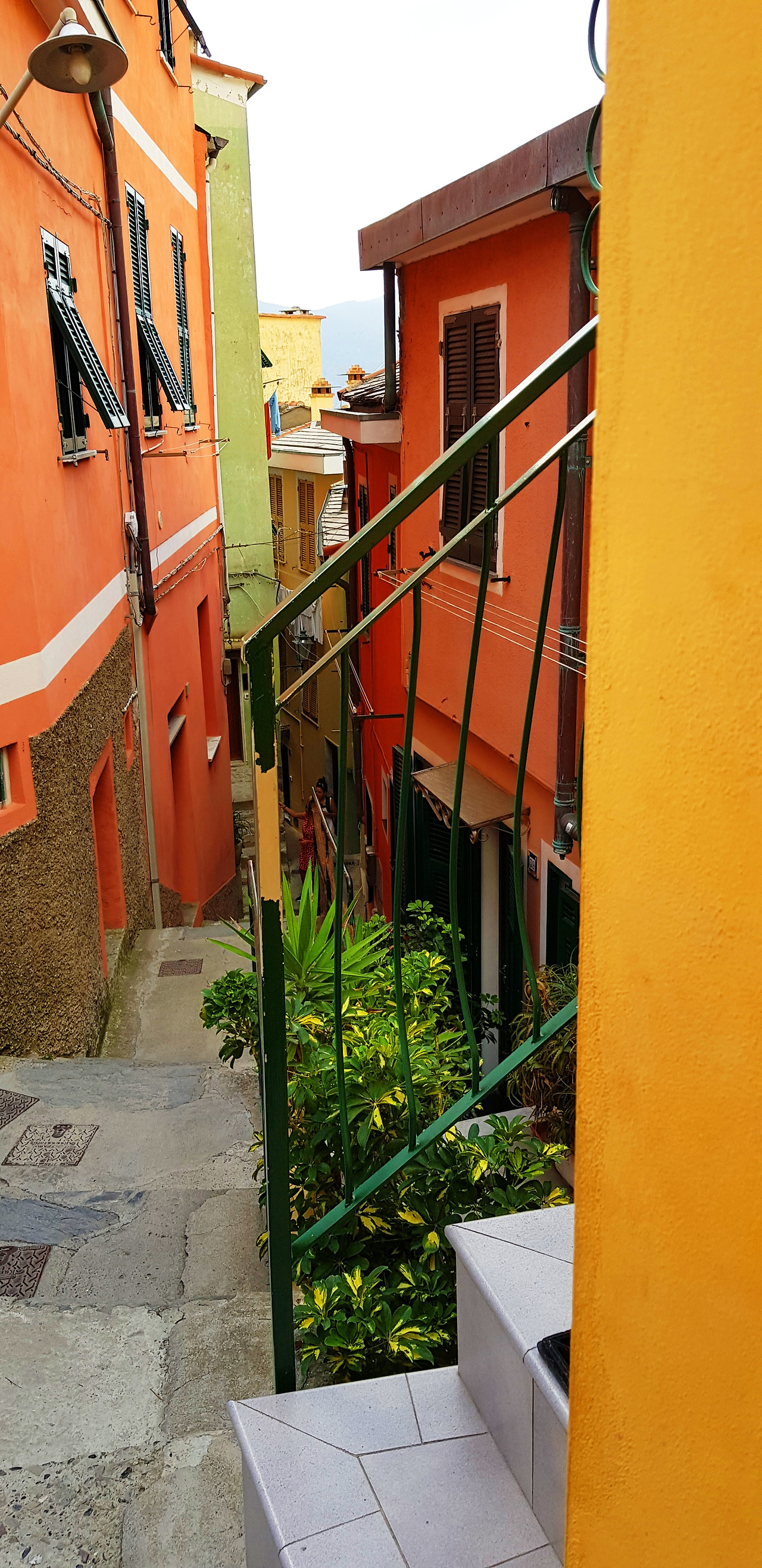 베르나차-1 (1).jpg