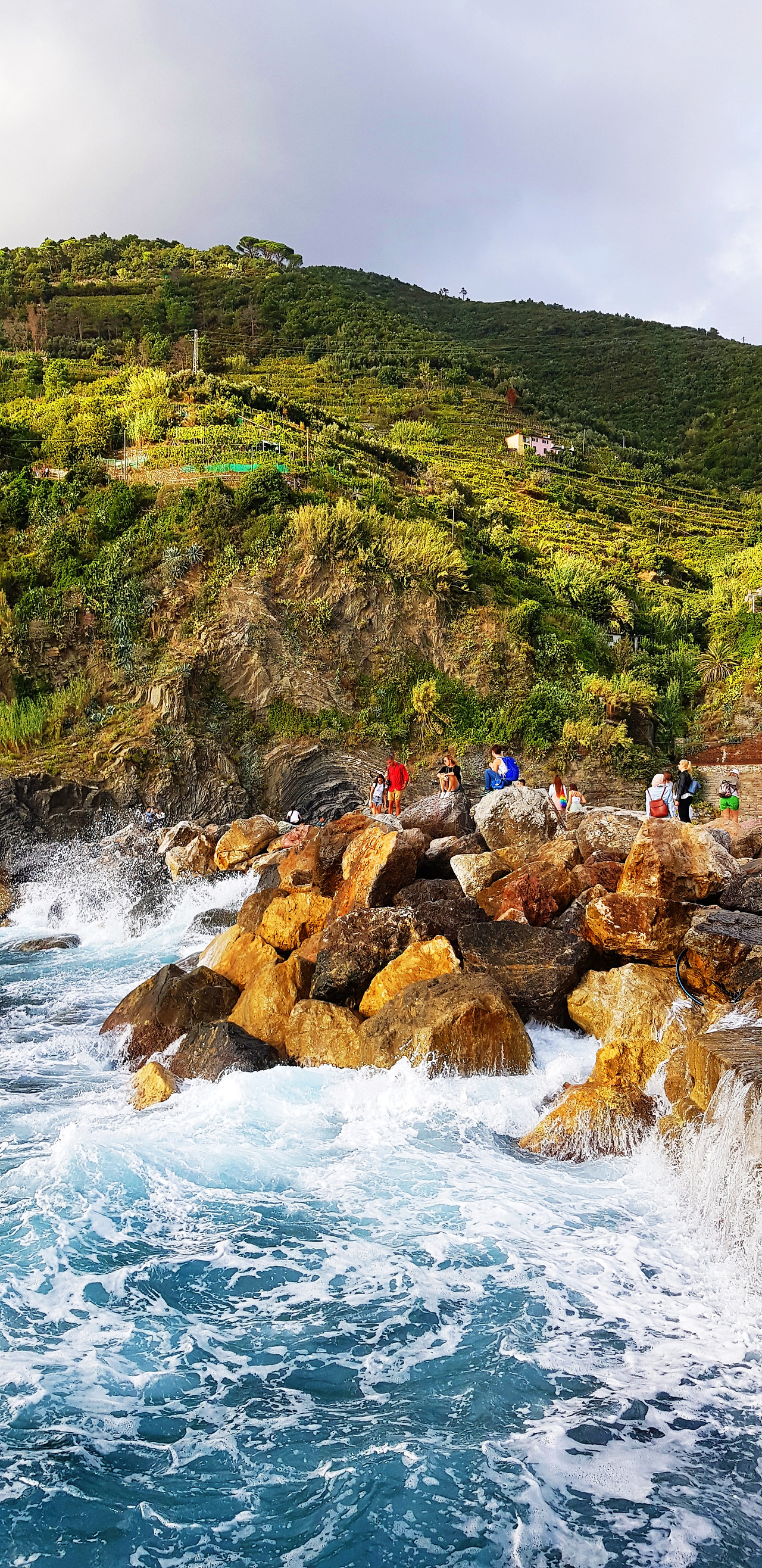 베르나차평지 (2).jpg