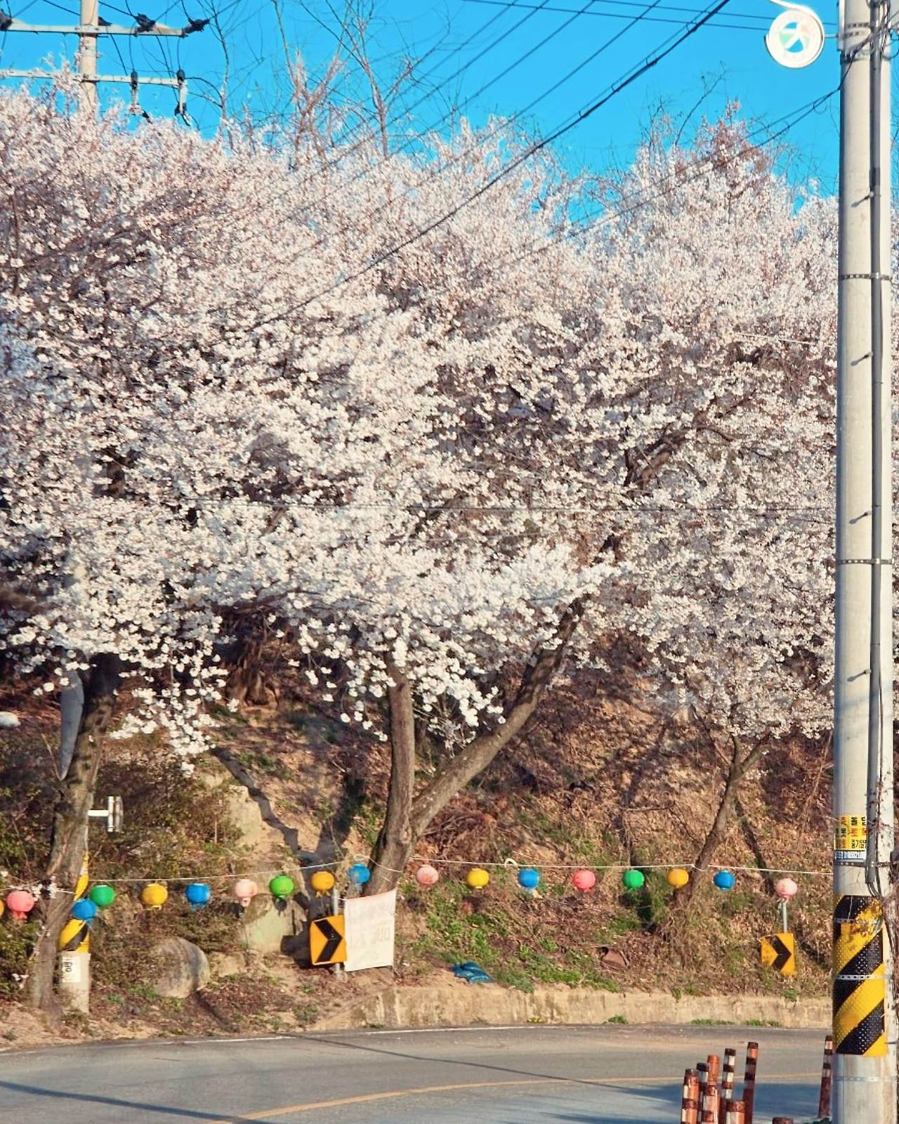 카지노 가입 쿠폰