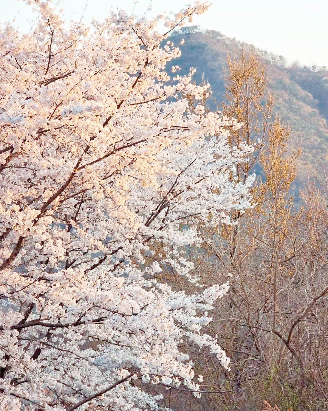 카지노 가입 쿠폰