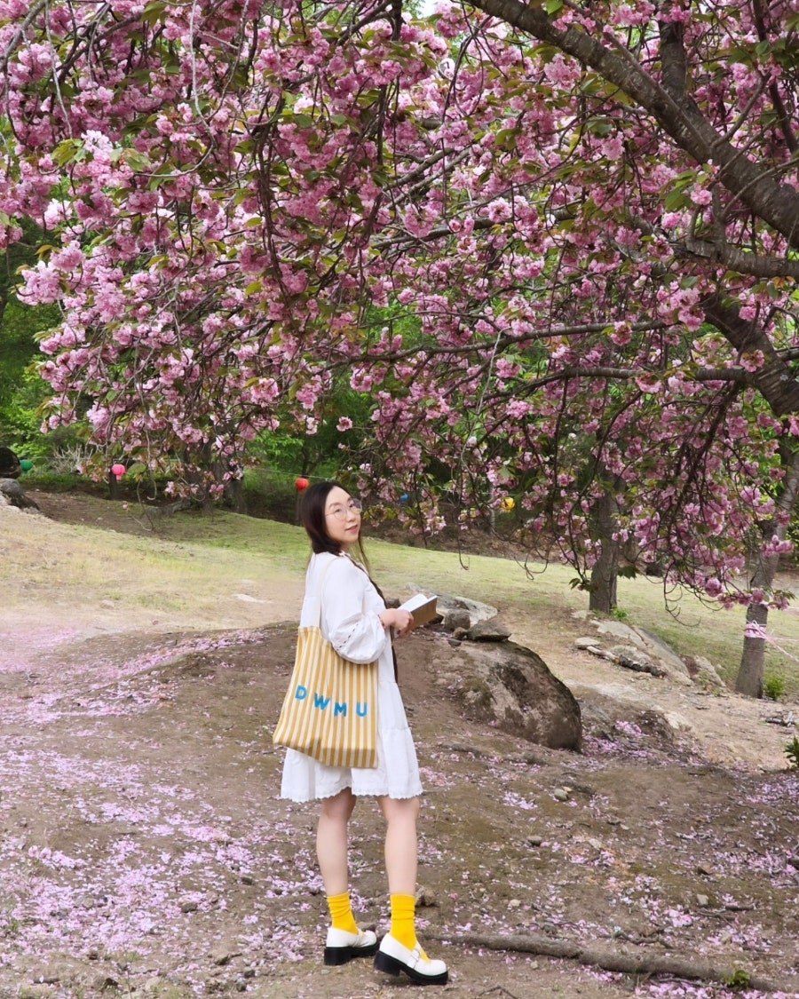 카지노 게임 추천