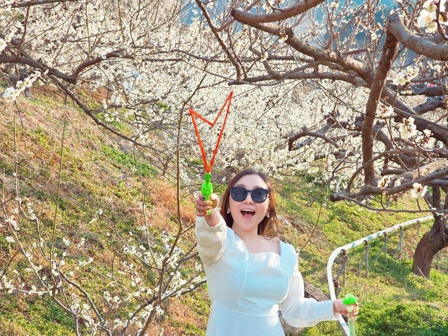 카지노 가입 쿠폰