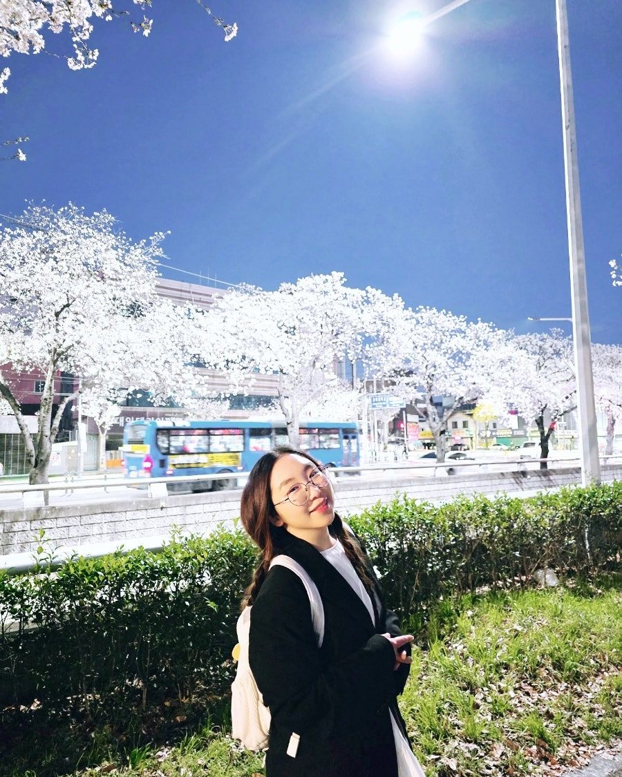 카지노 게임 사이트