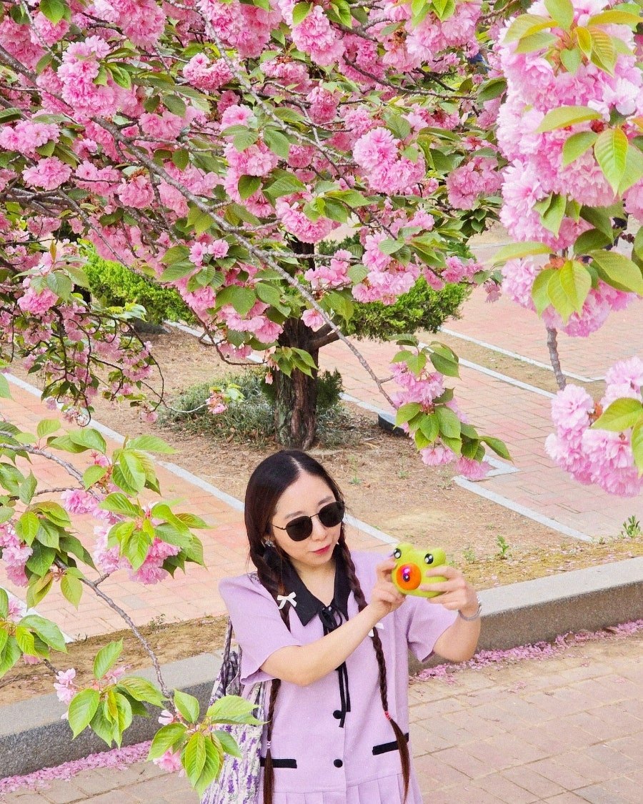 무료 카지노 게임