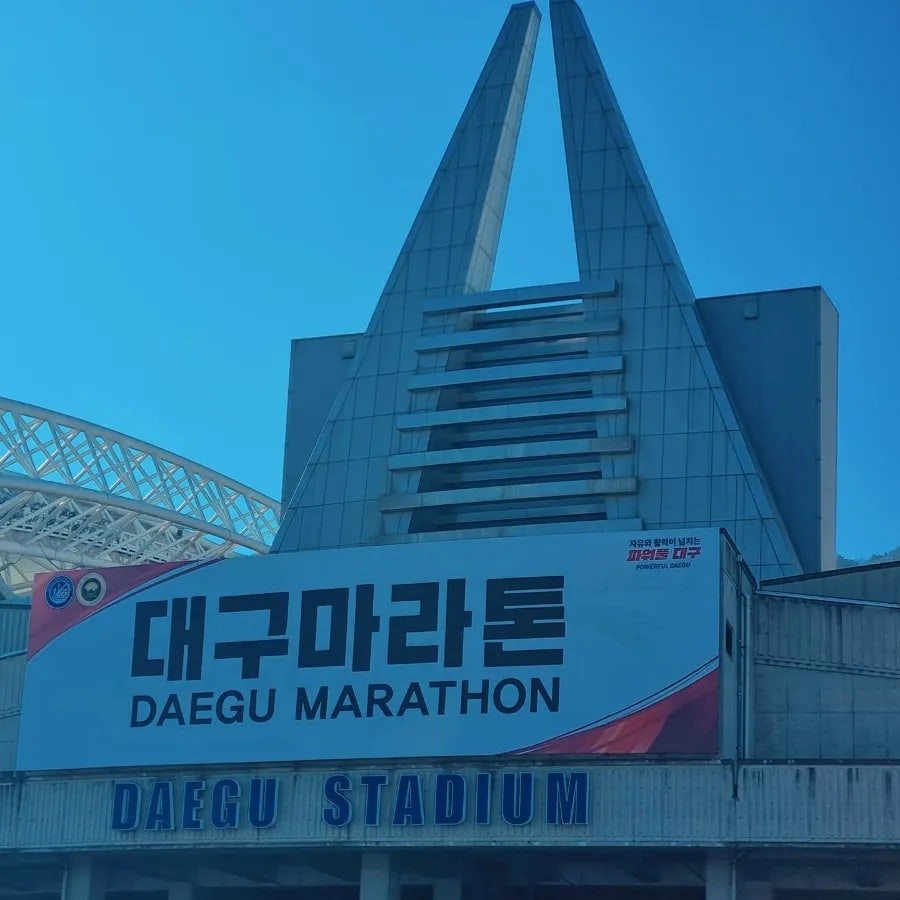 카지노 게임 사이트