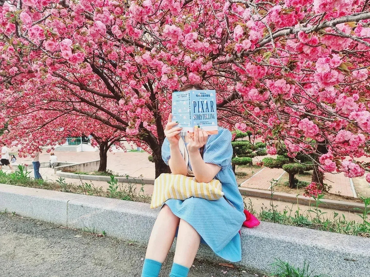 카지노 게임 사이트