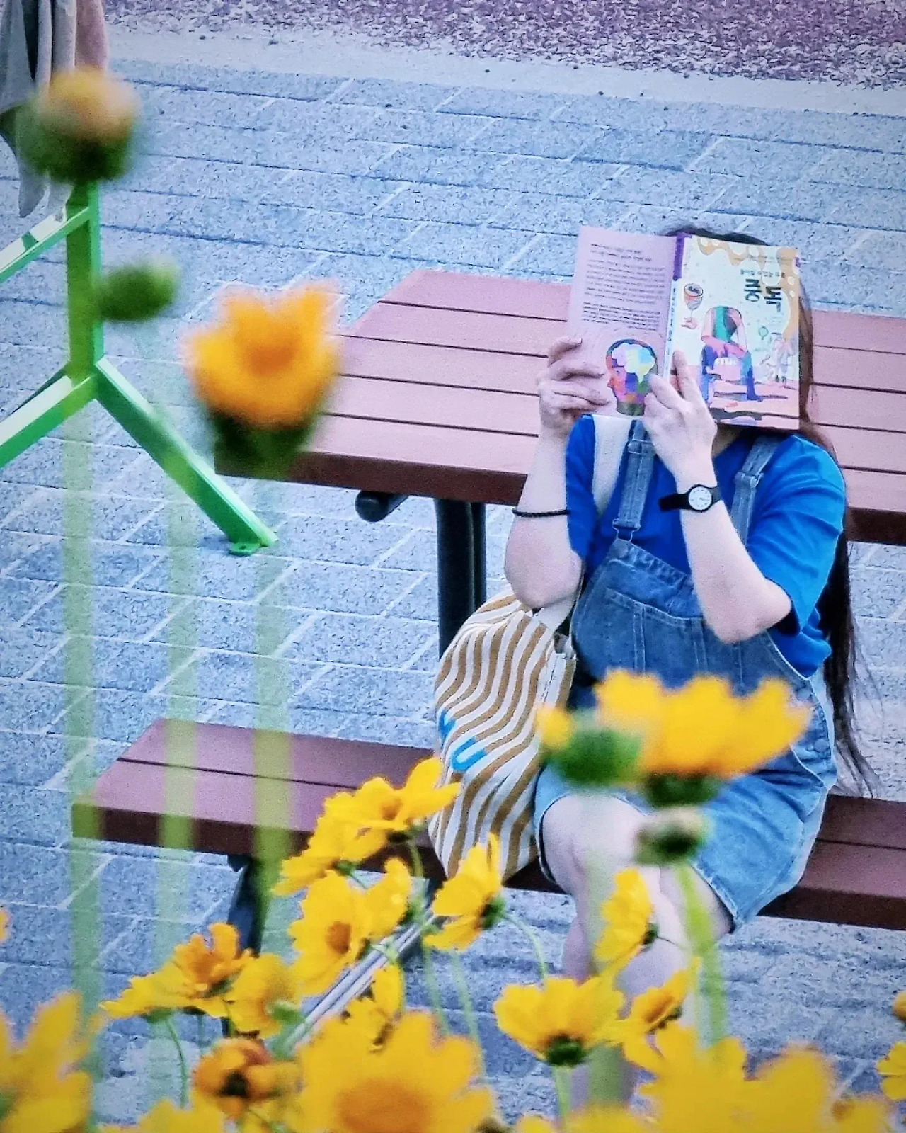 카지노 쿠폰