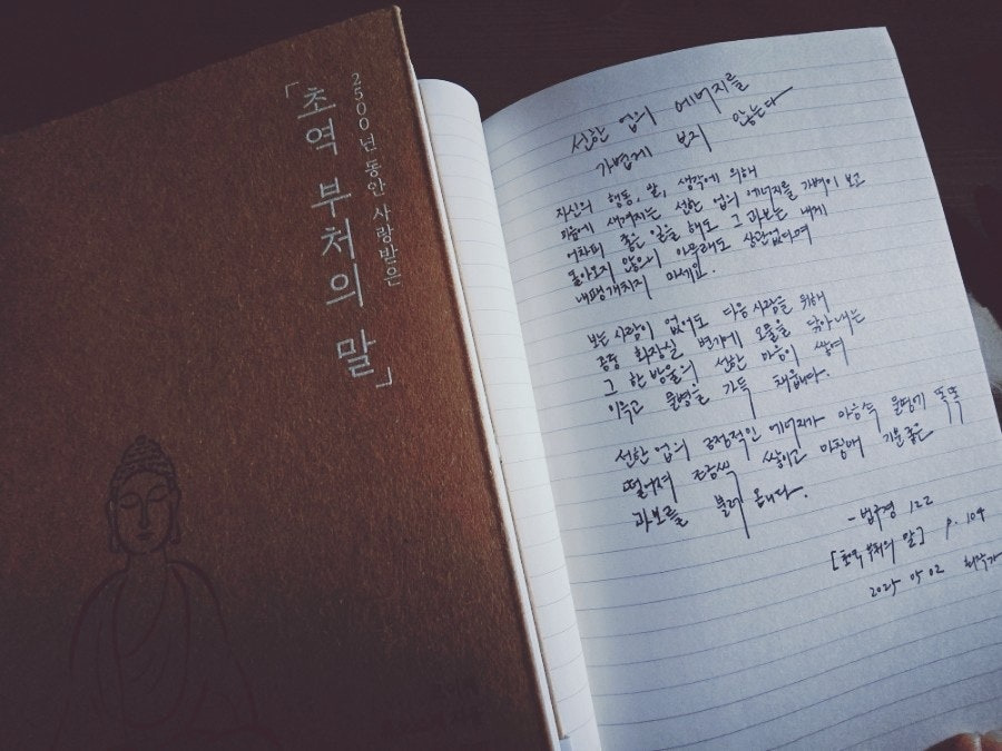 카지노 게임 사이트