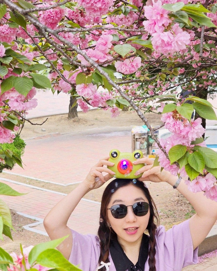 무료 카지노 게임