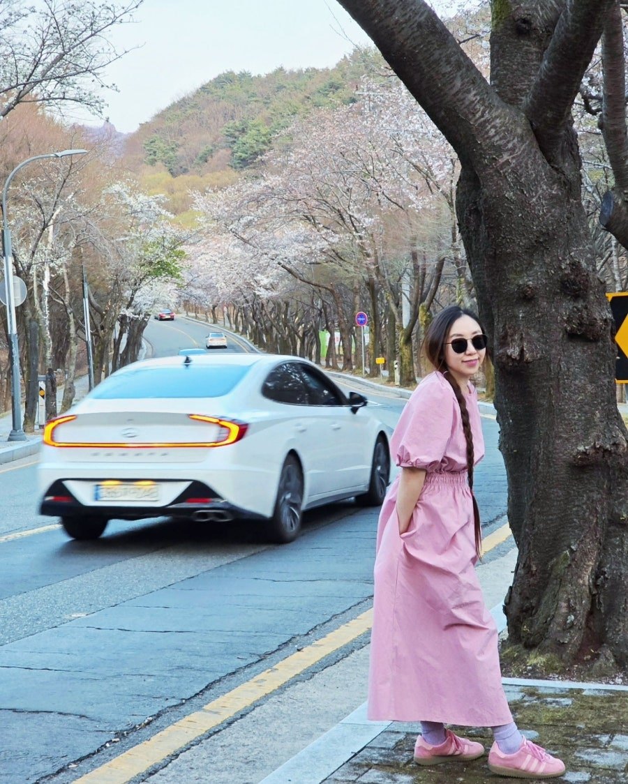 카지노 게임 추천