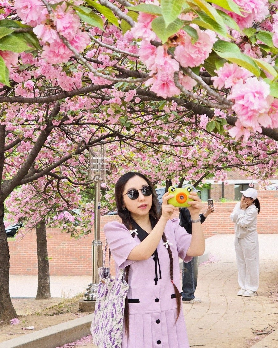 무료 카지노 게임