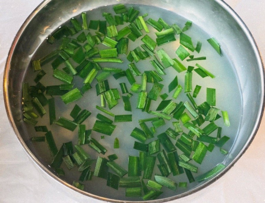 카지노 게임 사이트