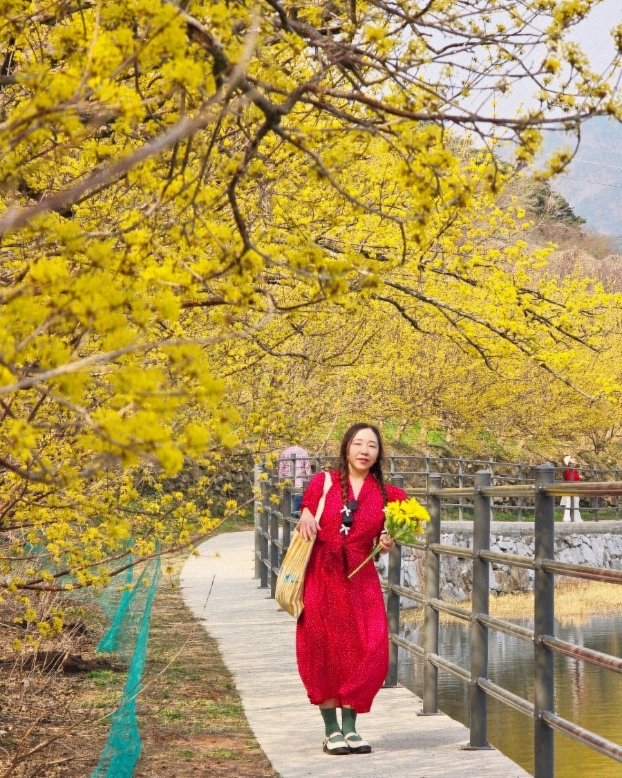 카지노 쿠폰