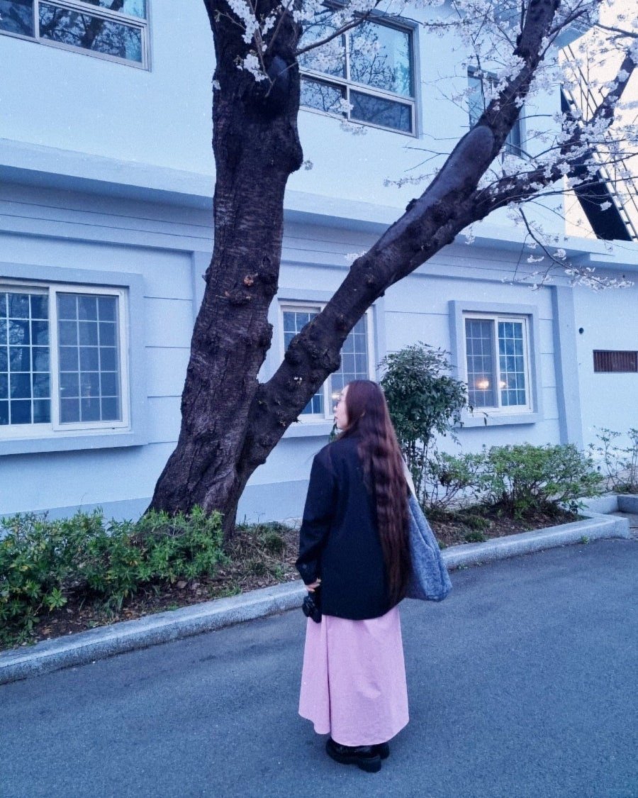 카지노 게임