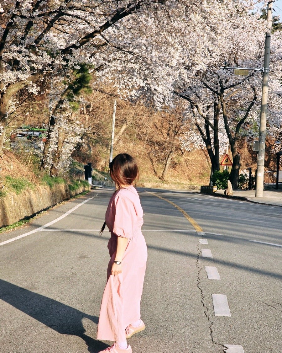 카지노 쿠폰