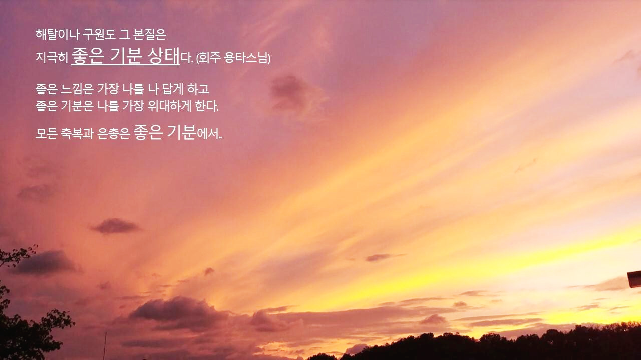 이장민(좋은 느낌).jpg