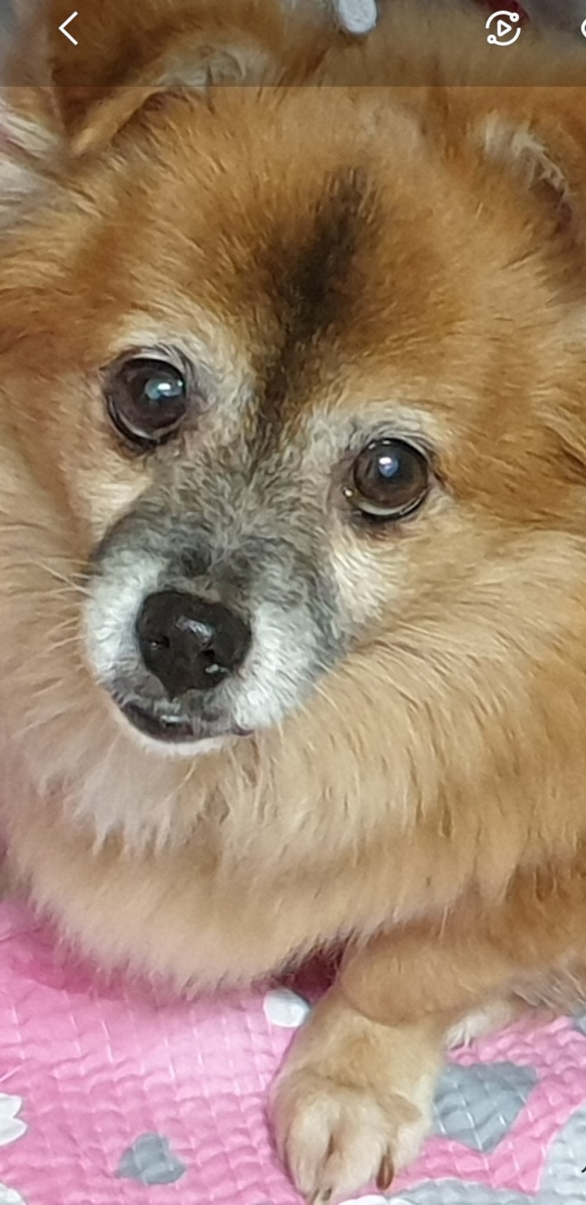 꼬매이 그림.jpg